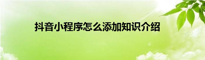 抖音小程序怎么添加知识介绍