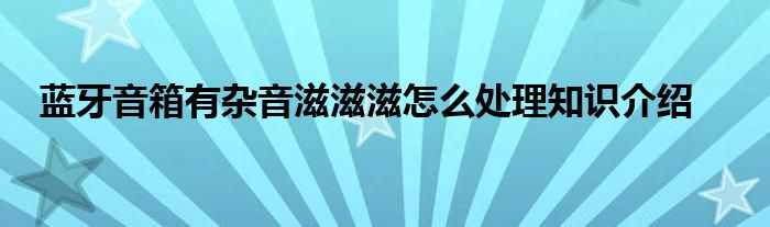 蓝牙音箱有杂音滋滋滋怎么处理知识介绍