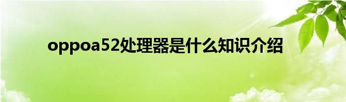 oppoa52处理器是什么知识介绍