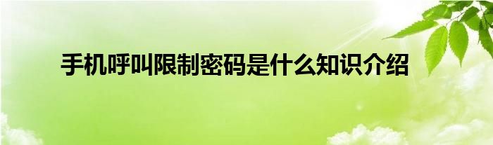 手机呼叫限制密码是什么知识介绍