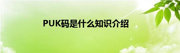 PUK码是什么知识介绍
