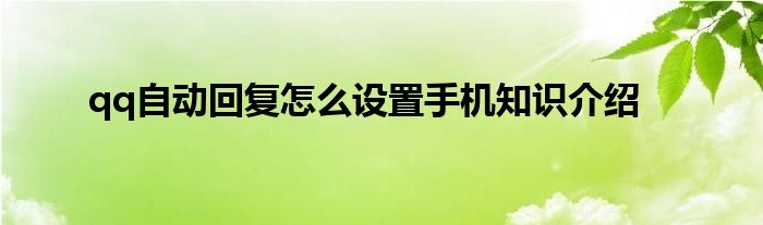 qq自动回复怎么设置手机知识介绍