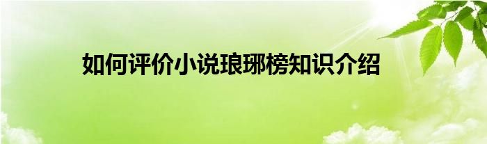 如何评价小说琅琊榜知识介绍