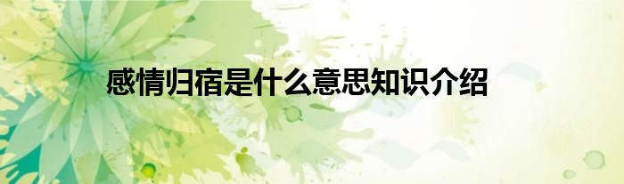 感情归宿是什么意思知识介绍