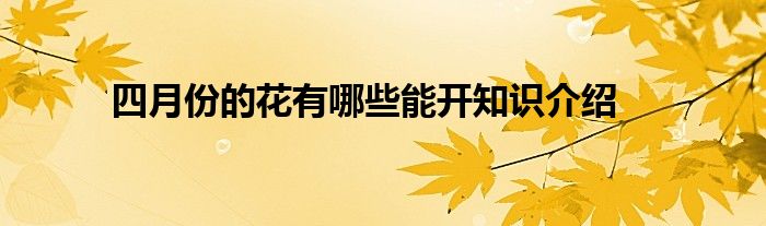 四月份的花有哪些能开知识介绍