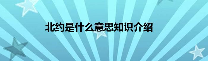 北约是什么意思知识介绍