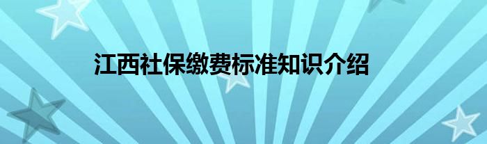 江西社保缴费标准知识介绍