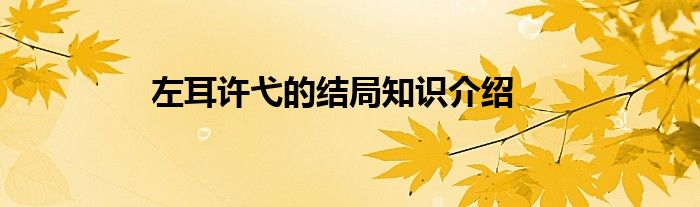 左耳许弋的结局知识介绍