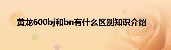 黄龙600bj和bn有什么区别知识介绍