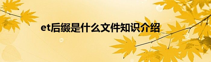 et后缀是什么文件知识介绍