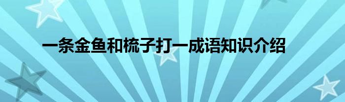 一条金鱼和梳子打一成语知识介绍