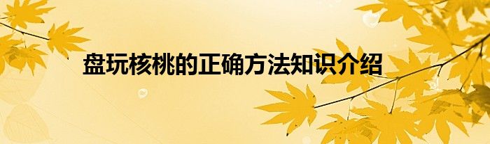 盘玩核桃的正确方法知识介绍