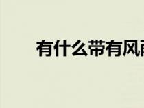 有什么带有风雨两字的成语知识介绍