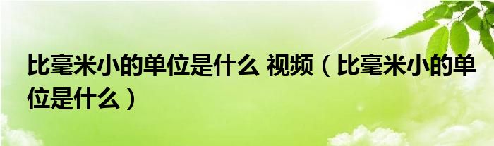 比毫米小的单位是什么 视频（比毫米小的单位是什么）