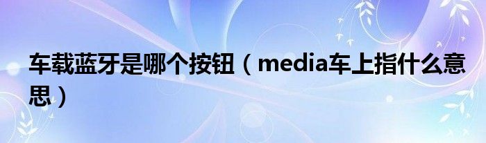 车载蓝牙是哪个按钮（media车上指什么意思）