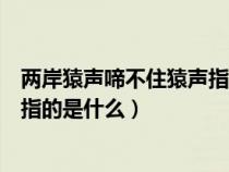 两岸猿声啼不住猿声指的是什么声音（两岸猿声啼不住猿声指的是什么）