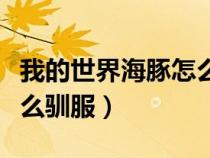 我的世界海豚怎么驯服鱼鳍（我的世界海豚怎么驯服）