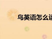 鸟英语怎么读（黑板英语怎么读）