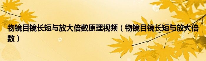 物镜目镜长短与放大倍数原理视频（物镜目镜长短与放大倍数）