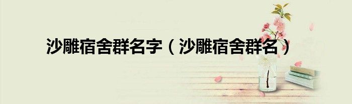 沙雕宿舍群名字（沙雕宿舍群名）