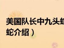 美国队长中九头蛇是什么组织（美国队长九头蛇介绍）