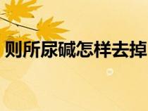 则所尿碱怎样去掉（厕所尿碱太厚如何除掉）