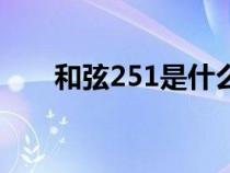 和弦251是什么意思（251什么意思）