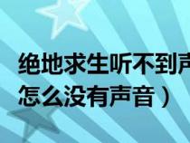 绝地求生听不到声音说不了话（绝地求生说话怎么没有声音）