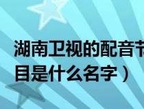 湖南卫视的配音节目叫什么（湖南卫视配音节目是什么名字）