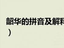 韶华的拼音及解释怎么读（韶华的拼音及解释）