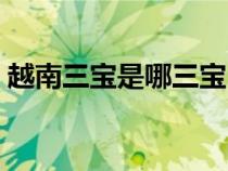 越南三宝是哪三宝（越南三宝吃的指哪三宝）