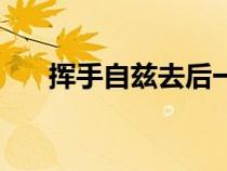 挥手自兹去后一句（挥手自兹去原文）