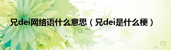 兄dei网络语什么意思（兄dei是什么梗）