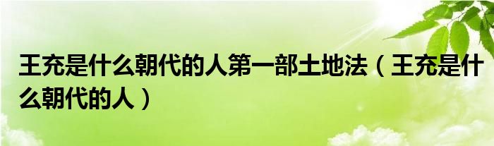 王充是什么朝代的人第一部土地法（王充是什么朝代的人）