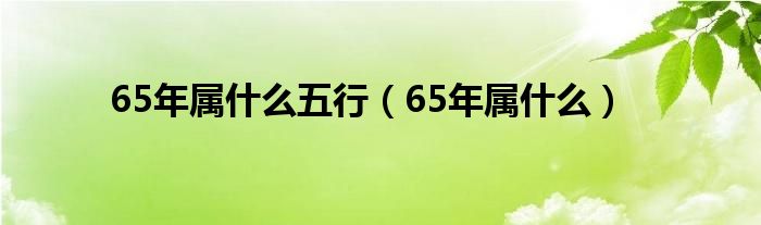 65年属什么五行（65年属什么）