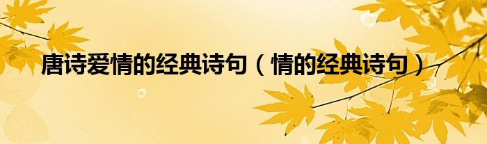 唐诗爱情的经典诗句（情的经典诗句）