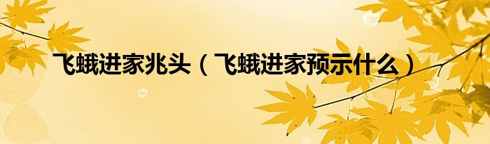 飞蛾进家兆头（飞蛾进家预示什么）