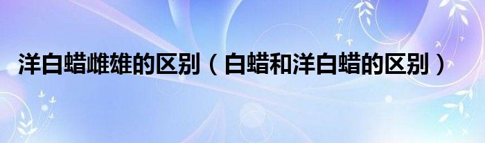 洋白蜡雌雄的区别（白蜡和洋白蜡的区别）