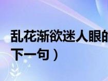 乱花渐欲迷人眼的上一句（乱花渐欲迷人眼的下一句）