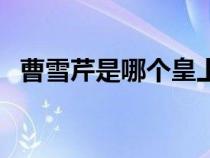曹雪芹是哪个皇上（曹雪芹是哪个朝代的）