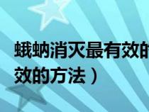 蛾蚋消灭最有效的方法小红书（蛾蚋消灭最有效的方法）
