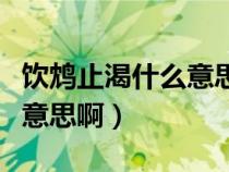 饮鸩止渴什么意思啊鸩是什么（饮鸩止渴什么意思啊）