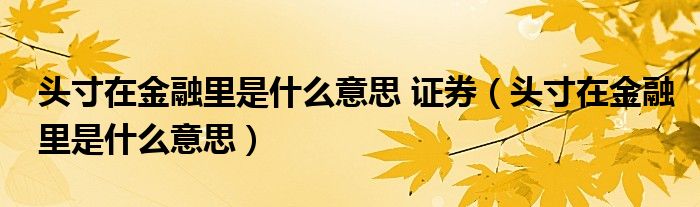 头寸在金融里是什么意思 证券（头寸在金融里是什么意思）