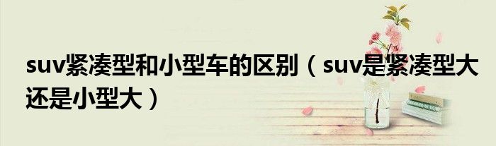 suv紧凑型和小型车的区别（suv是紧凑型大还是小型大）