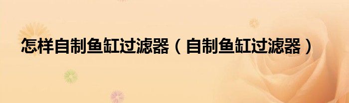 怎样自制鱼缸过滤器（自制鱼缸过滤器）