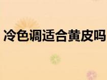 冷色调适合黄皮吗（冷色调是白皮还是黄皮）