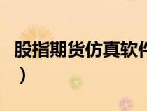 股指期货仿真软件（什么是股指期货仿真交易）
