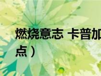 燃烧意志 卡普加点（燃烧意志卡普100级加点）