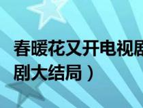春暖花又开电视剧结局如何（春暖花又开电视剧大结局）