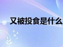 又被投食是什么意思（投食是什么意思）